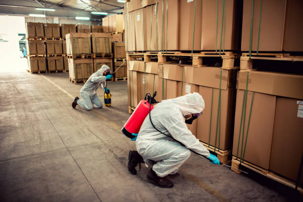 Best Local Pest Control Services  in Warrenton, GA