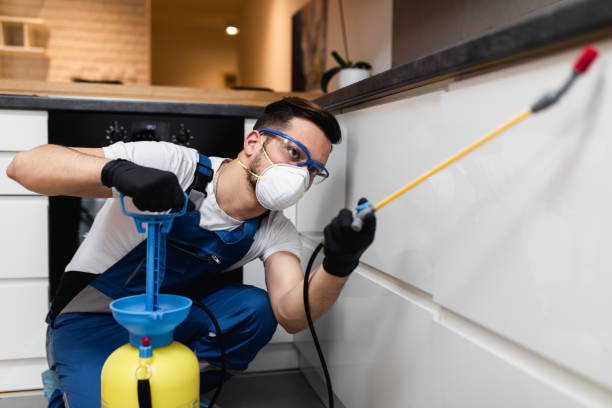 Best Pest Control for Restaurants  in Warrenton, GA