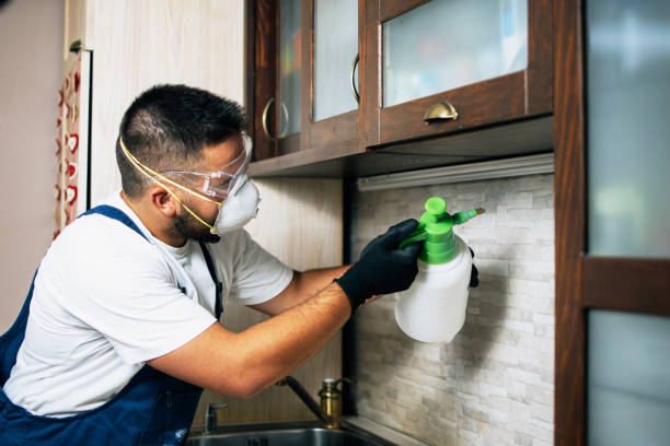 Best Pest Control Near Me in Warrenton, GA