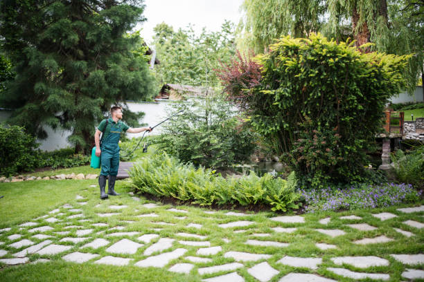 Best Pest Inspection Near Me  in Warrenton, GA
