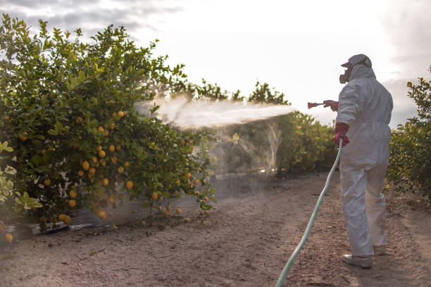 Best Residential Pest Control  in Warrenton, GA
