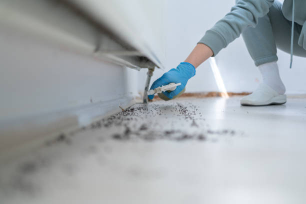 Pest Control for Restaurants in Warrenton, GA