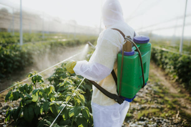  Warrenton, GA Pest Control Pros